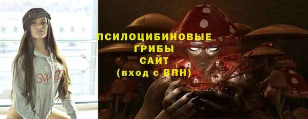 альфа пвп Гусев