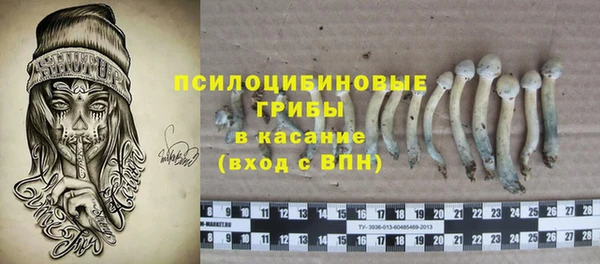 альфа пвп Гусев