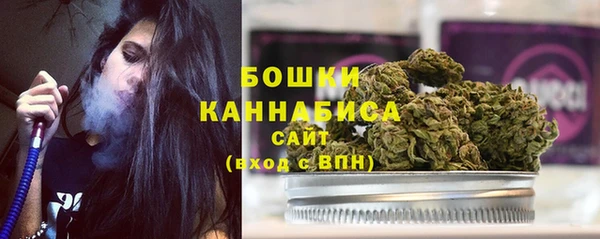 альфа пвп Гусев