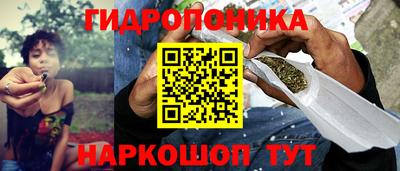 меф Лесосибирск