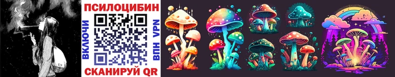 Псилоцибиновые грибы Psilocybine cubensis Чита