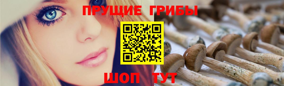 Галлюциногенные грибы Cubensis Чита